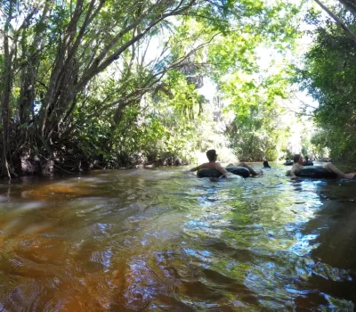 Flutuação na Cardosa